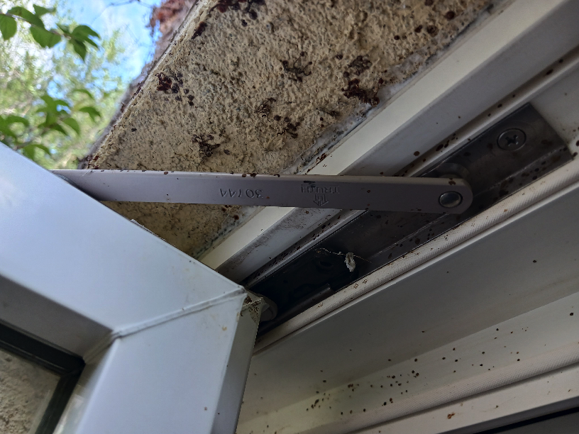 2 window top hinge Truth 30744 - 1000000731 small.